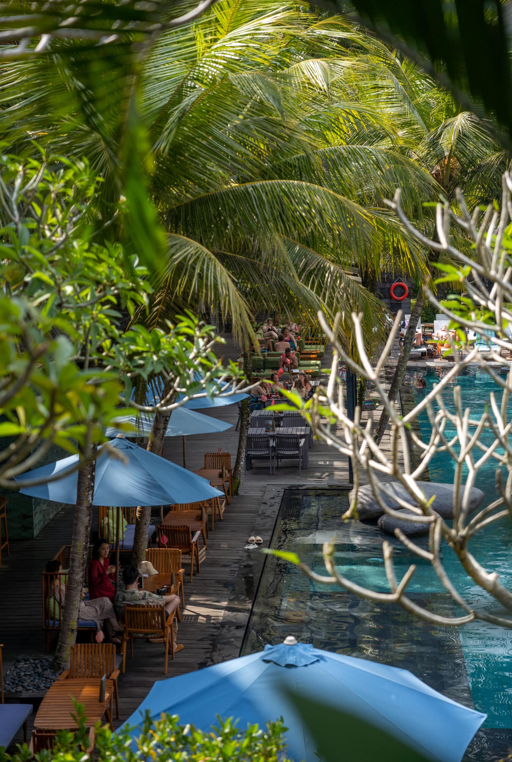 bali-pool-bar-jungle-fish