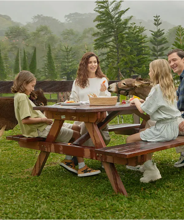Chapung-Picnic-with-Donkey